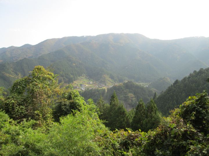 奥多摩町氷川...